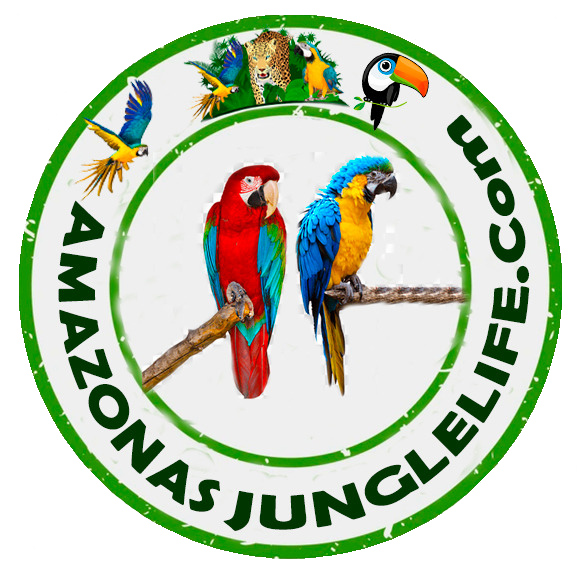 Logo Amazonas Jungle Life